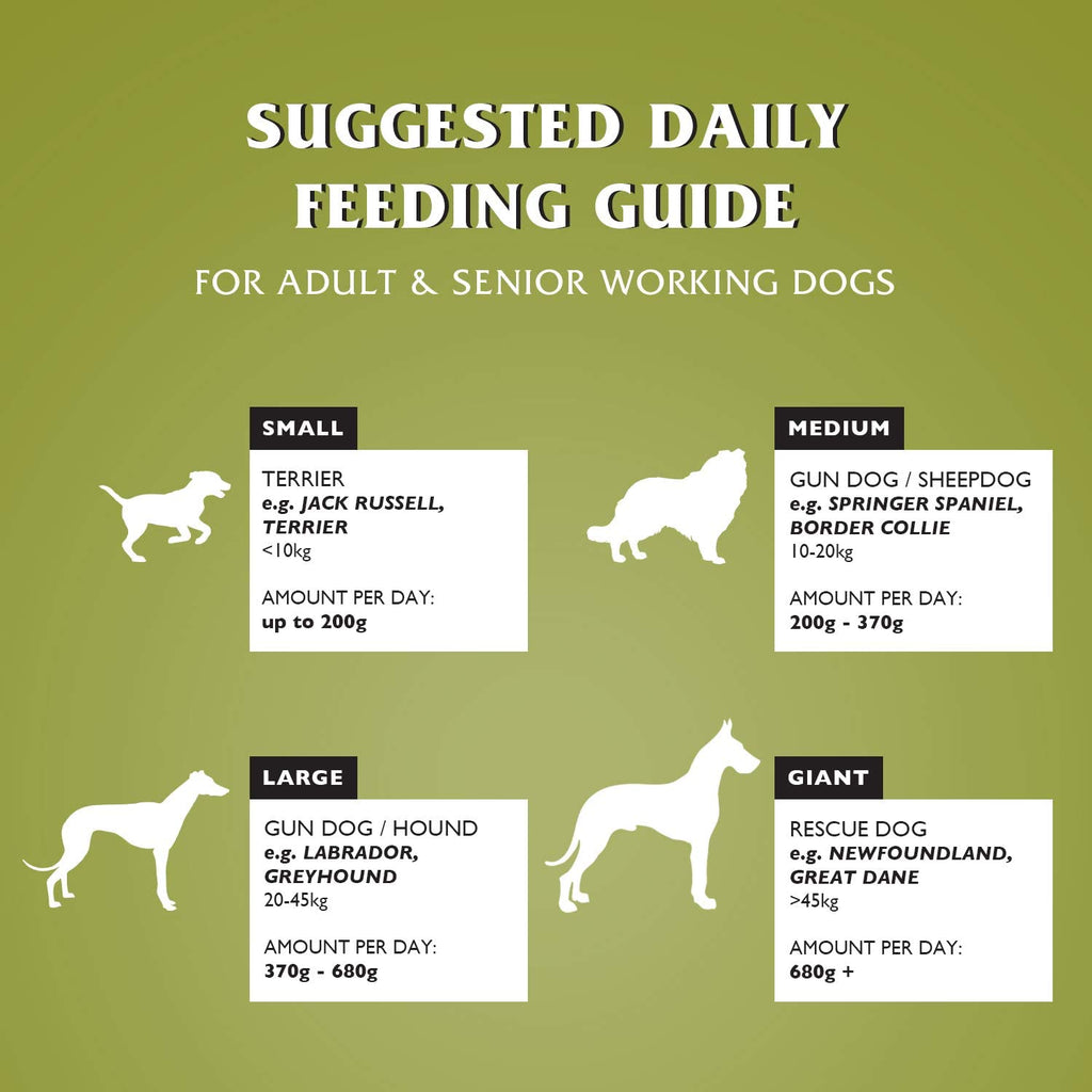 Dr johns hypoallergenic lamb and clearance rice