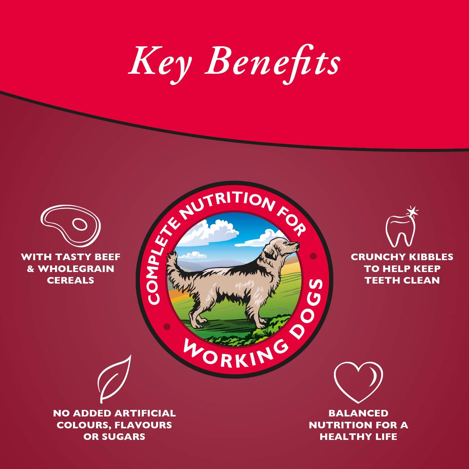 Arkwrights beef dry dog food best sale