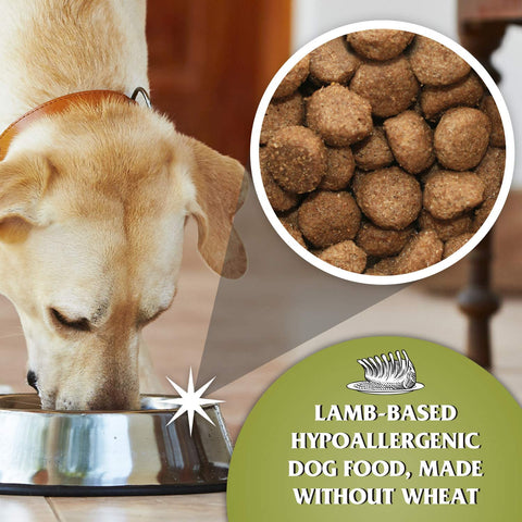 4health dog food outlet lamb and rice